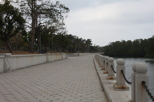 河边砖石步道风景