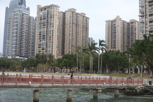 河畔高楼林立的城市景观