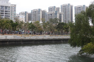 河畔高楼与绿树景观