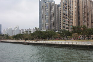 河畔高楼林立的城市景观