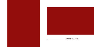 结婚  婚纱  相册   婚礼