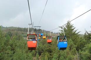 山间缆车穿梭于葱郁树林