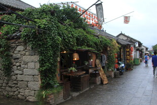 古巷石屋旁的绿植与行人