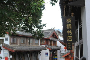 古街中的梧桐书店