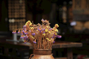 陶罐中的多彩花卉组合