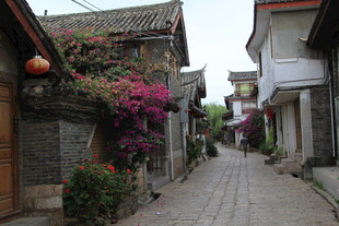 古巷繁花 静谧的中式风情