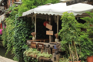 绿植环绕的户外休闲小角落