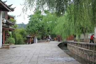 古巷垂柳下的静谧景致