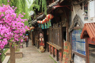 古巷繁花 中式传统风情