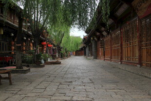 古街柳荫下的静谧景致