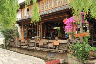 古雅木屋旁的绿植景致