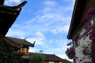 古屋檐下的蓝天繁花