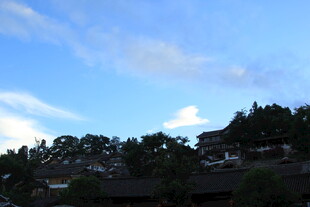 蓝天绿树间的屋顶景致