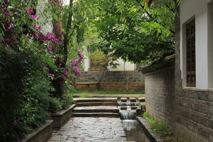 幽静小院中的石板小径