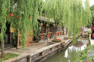 江南水乡垂柳下的古朴景致
