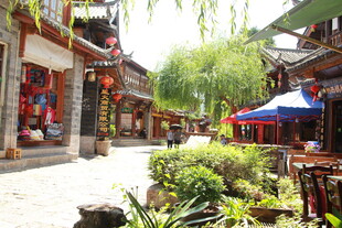 古街景致 绿植点缀的闲适地