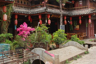 古雅庭院中的中式景致