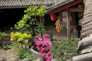 古宅旁绽放的多彩花卉