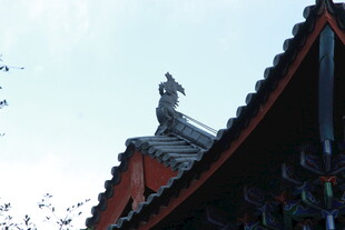 屋顶上的精美雕像