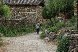 乡村小道上的独行者