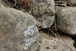 岩石缝隙中的神秘景象