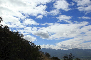 蓝天白云下的山林景致