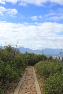 山间小径 畅享自然之美