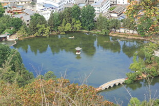 湖畔美景 小桥点缀自然间