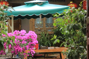 庭院中的花卉与休闲桌椅