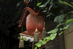 中式古风红灯笼挂于绿植间