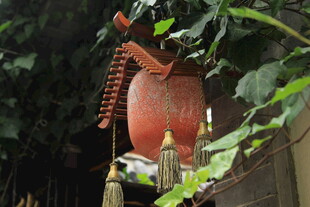 中式红灯笼悬挂绿植间