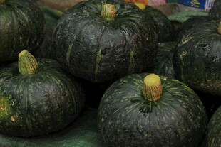 新鲜南瓜堆叠展示