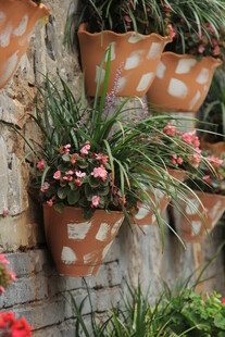 墙上陶盆绿植绽放生机