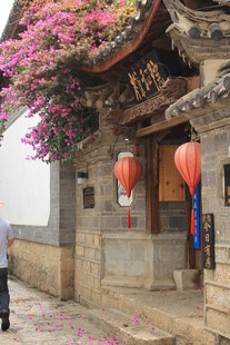 古宅前的行人与烂漫繁花