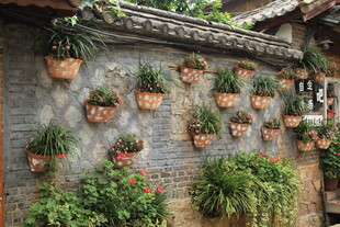 砖墙绿植装饰 自然小景