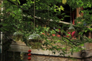 绿叶掩映下的建筑景致