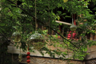 中式庭院绿植红灯笼景致