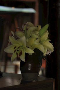 花瓶中的淡雅百合花