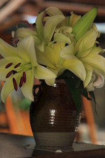 花瓶中绽放的清新百合花