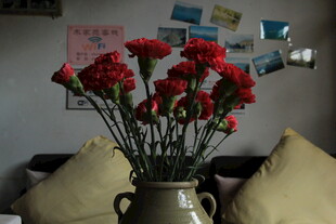 花瓶中盛放的鲜艳红玫瑰