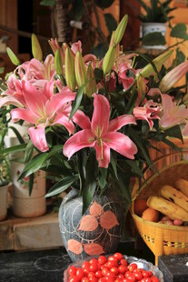 花瓶中盛放的粉色百合花