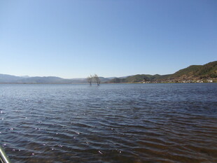 宁静湖面与远处山峦景色