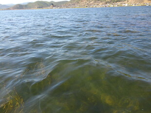 波光粼粼的清澈湖水