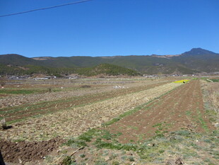 田野风光 远山蓝天农田