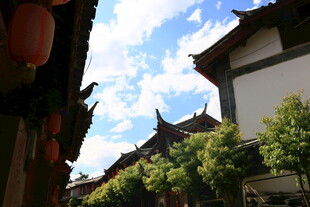 古巷屋檐下的蓝天绿树