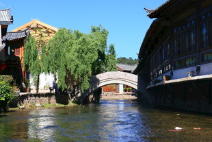 江南水乡古桥垂柳景致