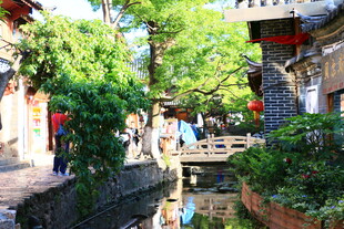 古巷流水边的惬意景致