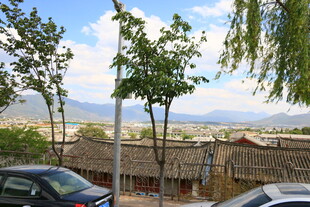 乡村风光中的车辆与树木