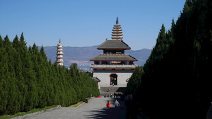 古寺宝塔映于葱郁林间