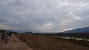 乡间小道上的漫步风景